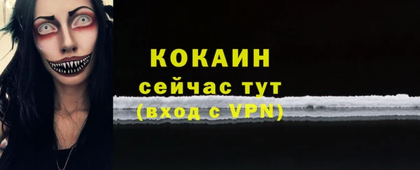 СК Пересвет