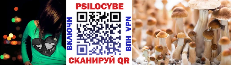 Галлюциногенные грибы ЛСД Куртамыш